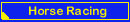 Horse Racing Games